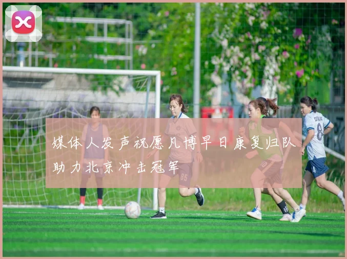 媒体人发声祝愿凡博早日康复归队助力北京冲击冠军