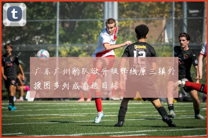 广东广州豹队欲升级锋线原三镇外援图多列成首选目标
