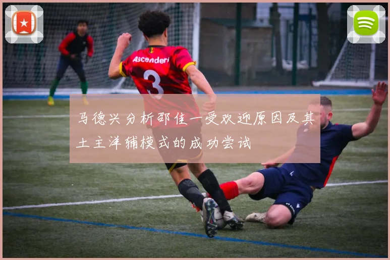 马德兴分析邵佳一受欢迎原因及其土主洋辅模式的成功尝试