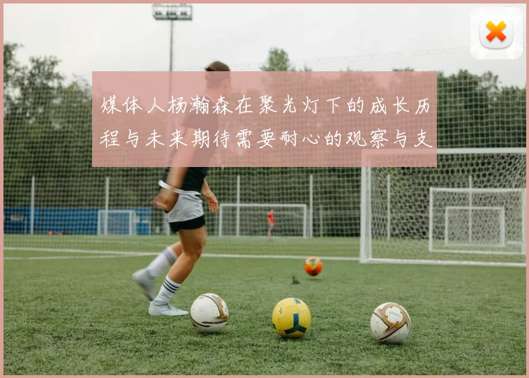 媒体人杨瀚森在聚光灯下的成长历程与未来期待需要耐心的观察与支持